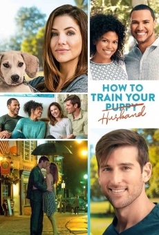 Ver película How to Train Your Husband