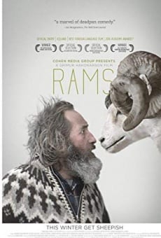 Película: Rams: La historia de dos hermanos y ocho ovejas