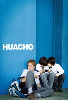 Watch Huacho online stream