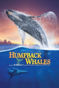 Ver película Humpback Whales