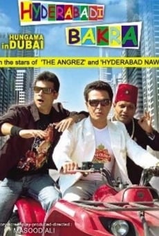 Ver película Hungama in Dubai