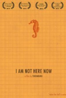 I Am Not Here Now stream online deutsch