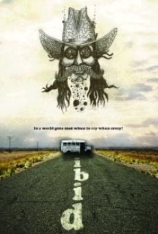 Ibid online streaming