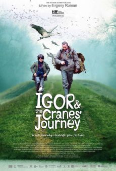 Ver película Igor & the Cranes' Journey