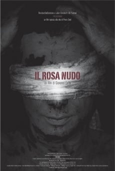 Il rosa nudo streaming en ligne gratuit