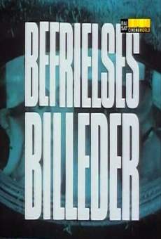 Befrielsesbilleder online streaming