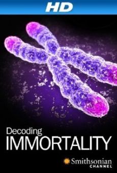 Immortal on-line gratuito