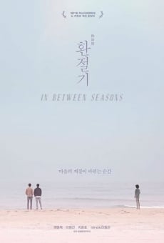 Ver película In Between Seasons