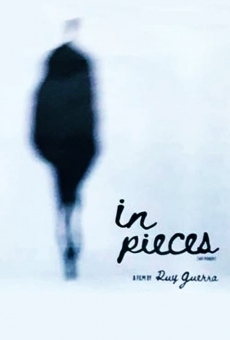 Ver película In Pieces