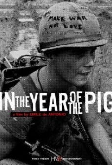 In the Year of the Pig on-line gratuito