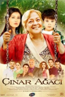 Película: Çinar agaci