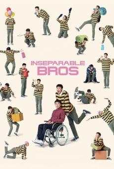 Inseparable Bros online kostenlos