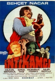 Intikamci online streaming