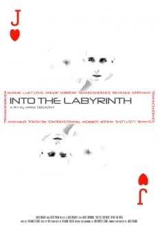 Ver película Into the Labyrinth