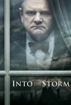 Ver película Into The Storm (Durante la tormenta)