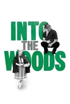 Into the Woods en ligne gratuit