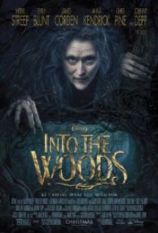 Into the Woods: Promenons-nous dans les bois streaming en ligne gratuit