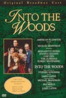 Into the Woods gratis