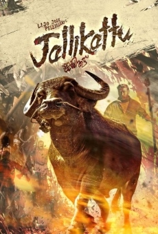 Jallikattu online