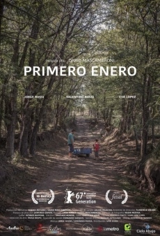 Watch Primero enero online stream