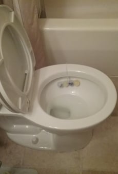 Jethro Leaves the Toilet Seat Up online