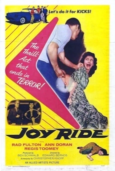 Joy Ride online kostenlos