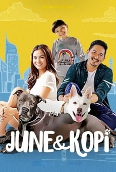 June & Kopi online