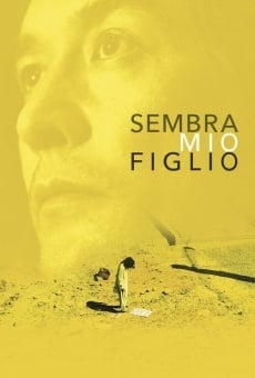 Sembra mio figlio online streaming