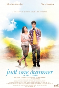 Ver película Just One Summer