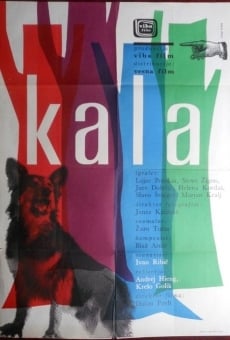 Kala on-line gratuito