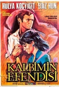 Watch Kalbimin efendisi online stream