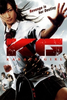 Karate-Girl streaming en ligne gratuit