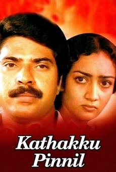 Ver película Kathakku Pinnil