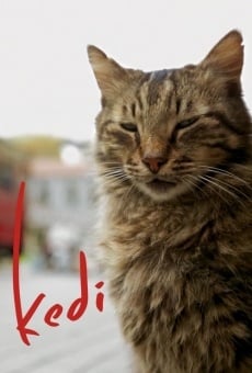 Película: Kedi (Gatos de Estambul)