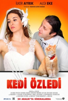 Watch Kedi Özledi online stream