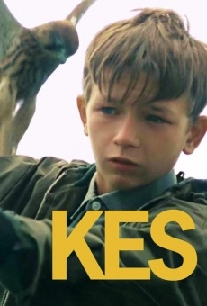 Kes online