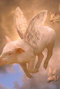 Kids Might Fly online streaming