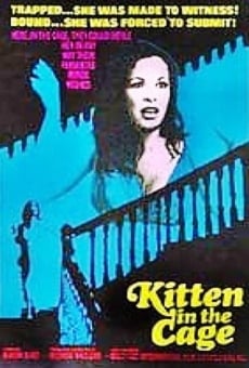 Kitten in a Cage on-line gratuito