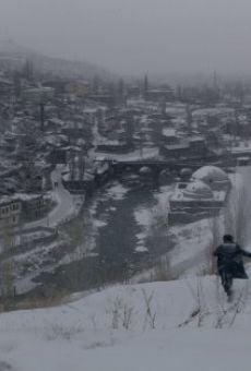 Kosmos online streaming