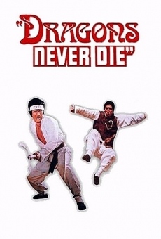Ver película Kung Fu 10th Dan