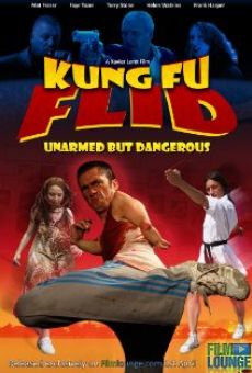 Película: Kung Fu Flid