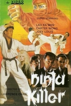 Ver película Kung Fu on the Bosphorus