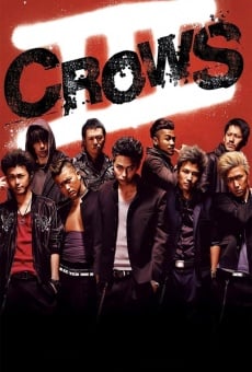 Crows Explode