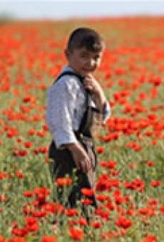 Kyz Zhibek online streaming