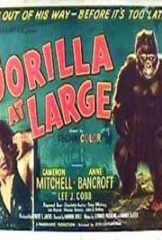 Gorilla at Large on-line gratuito