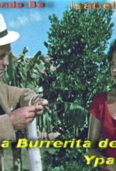 La burrerita de Ypacarai online streaming
