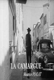 Ver película La camargue