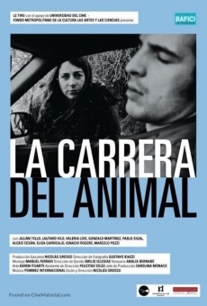 La carrera del animal gratis