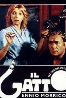 Il gatto online streaming