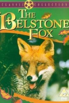 The Belstone Fox